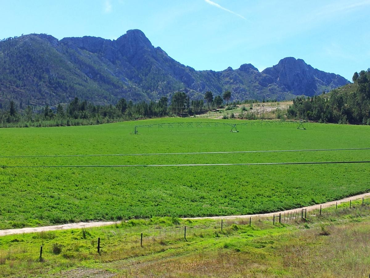 Вілла Kouwdouw Guest Farm Джордж Екстер'єр фото
